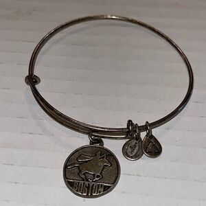 Alex & Ani Boston Bangle bracelet